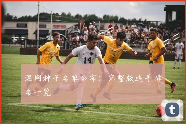 温网种子名单公布：完整版选手排名一览