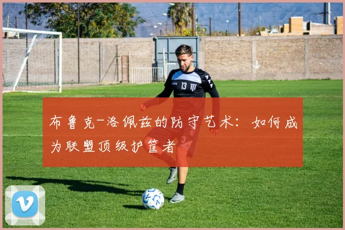 布鲁克-洛佩兹的防守艺术：如何成为联盟顶级护筐者